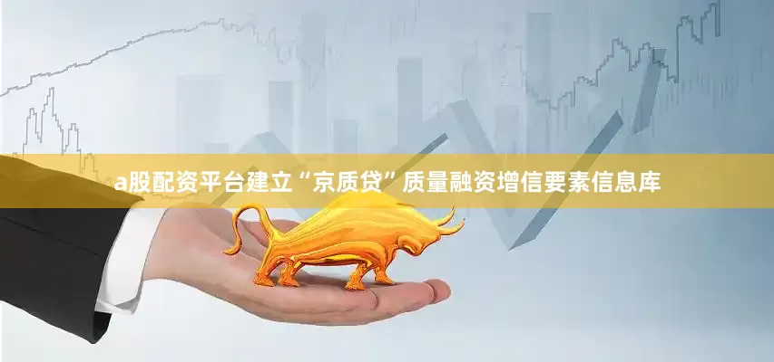 a股配资平台建立“京质贷”质量融资增信要素信息库