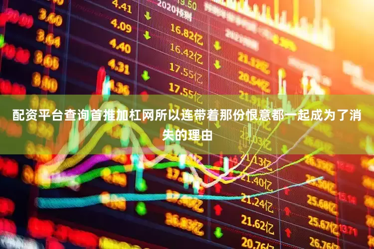 配资平台查询首推加杠网所以连带着那份恨意都一起成为了消失的理由
