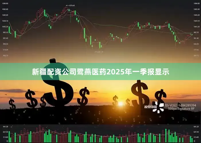 新疆配资公司鹭燕医药2025年一季报显示