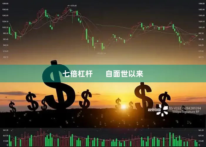 七倍杠杆      自面世以来